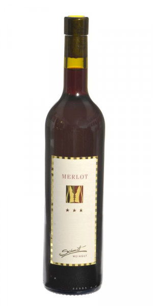 Merlot Rotwein trocken -Ilbesheimer Rittersberg- 2023